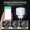 Zigbee 3.0 EU Smart Plug 16/20A with Metering, Alexa Compatible, Supports 3.0 Network Billing