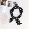 New Polka Dot Small Scarves Women'S Spring Styles Fashionable And Versatile Autumn And Winter Long Bags Wrist Scarves Decoration