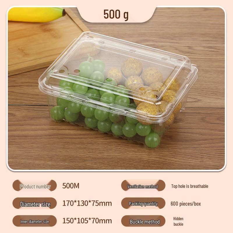 Portable Disposable Transparent Plastic Rectangular Fruit Packaging Box with Lid