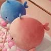 15/25/40cm Whale Plush Toy Lovely Sofa Ornament Soft Sleeping Accompany Plushies Stuffed