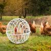 Gaiolas de Frango para Exterior Móveis 3 Peças Gaiola de Frango Habitat de Aves Suprimentos para Proteção de Vegetais Habitação Pastagem