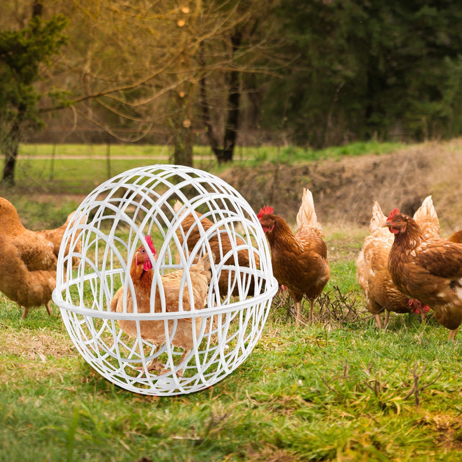 

Chicken Cages for Outside Movable 3 Pieces Chicken Globe Poultry Habitat Supplies for Vegetable Protection Housing Pasture 20CM 3 pieces
