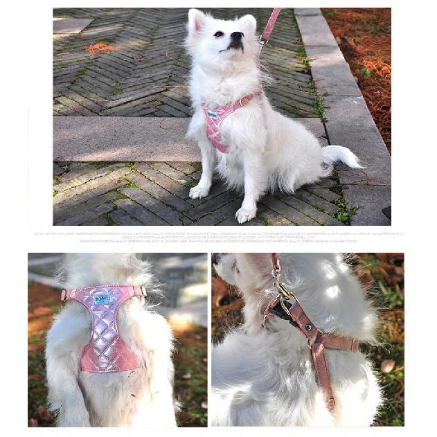 Small Dog Harness Vest Bright Style Pet Vest Harness Comfortable Adjustable Pet Harness for Teddy Pomeranian Pet Supplies