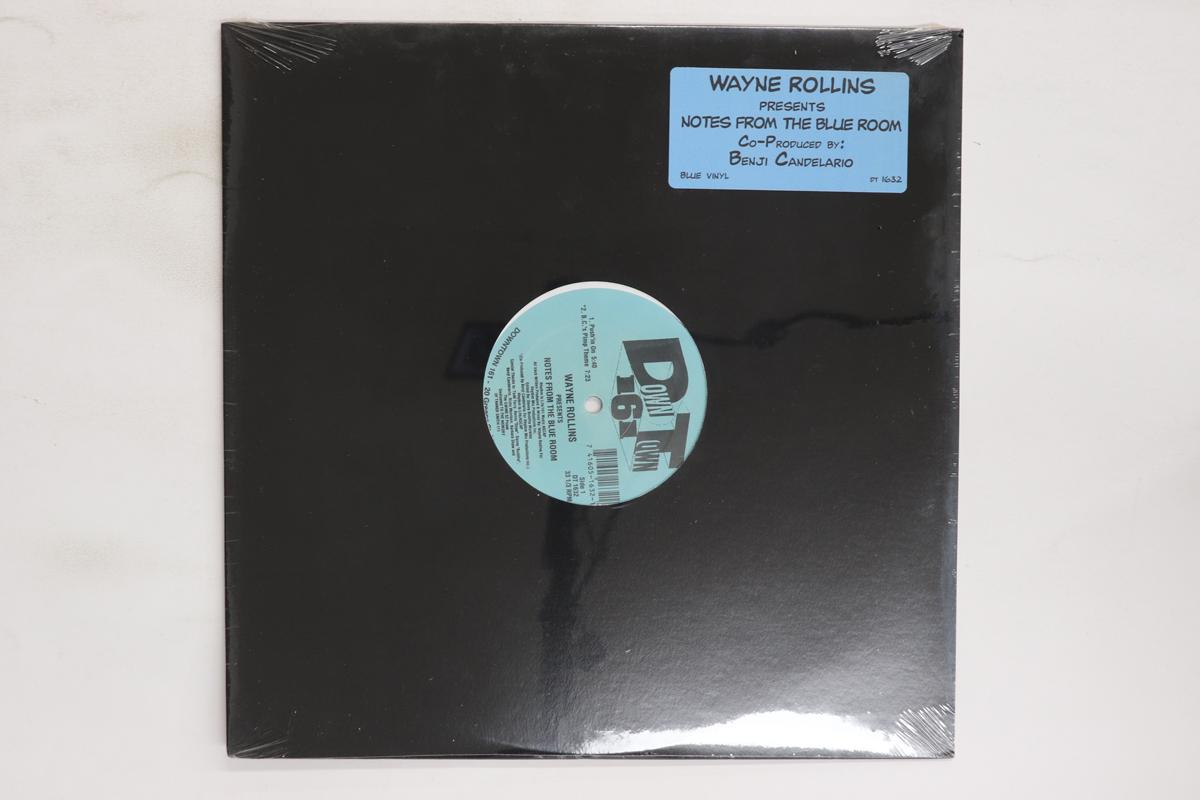 

12inch Record WAYNE ROLLINS Notes From The Blue Room DT1632 Downtown 161 1995 US Dance Electronica Used