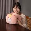 Cute Cartoon Hand Warmer Pillow Bear Pig Dinosaur Deer Unicorn Sofa Living Room Dormitory Office Nap Pillow