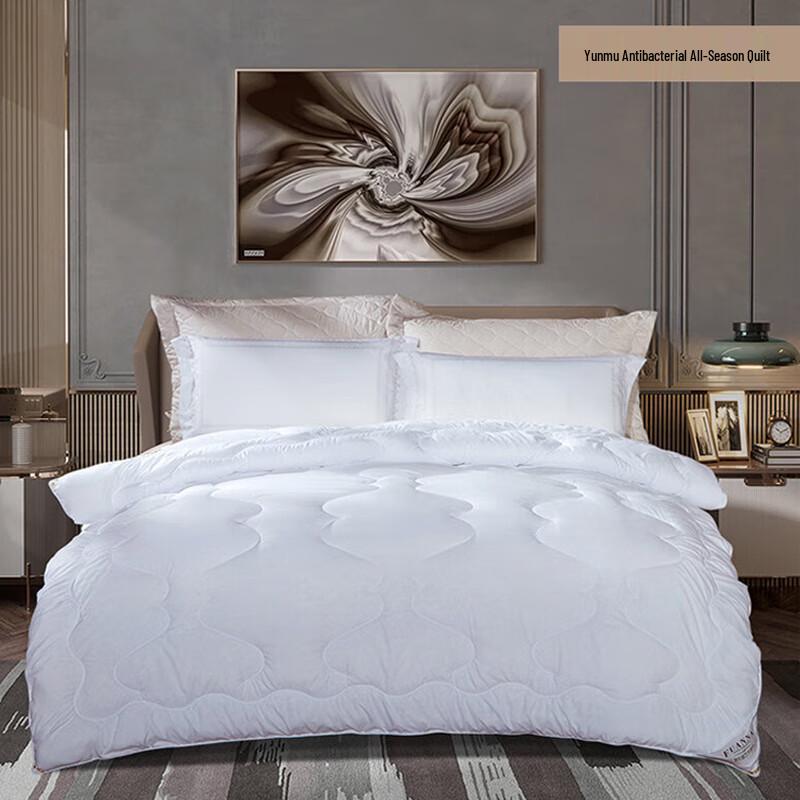 FUANNA Cloud Dream Antibacterial All-Season Quilt