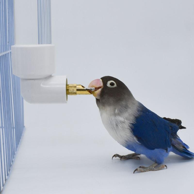 Water Bottle Automatic Feeder for Birds Guinea Pigs Hamsters Small Animals No Drip No Leak for Pet Cages 4.4oz