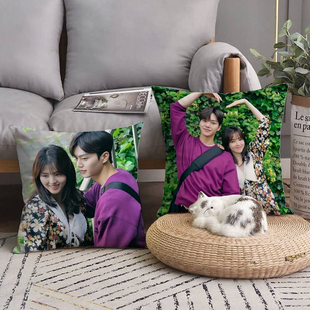 TV Series N-Nevertheless Pillow Case Home Decor Throw For Sofa Bed Car Room Decor Gift Idea