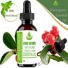 Czyste Zioła Wintergreen (Gaultheria procumbens) Czysty i naturalny olejek eteryczny o jakości terapeutycznej w plastikowym opakowaniu z kroplomierzem