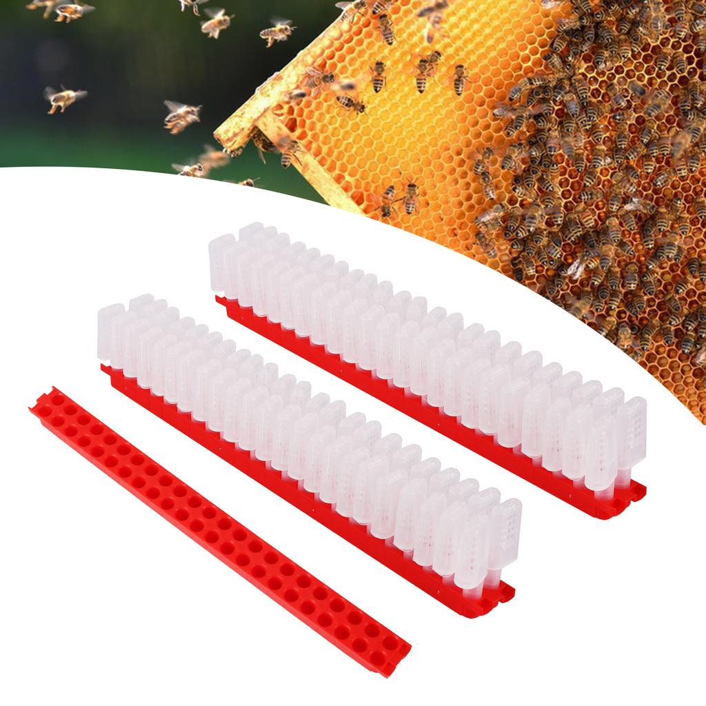 Queen Bee Cages Beekeeping Cell Protection Queen Bee Isolation Plastic White Move Queen Bee Beekeeping Equipment