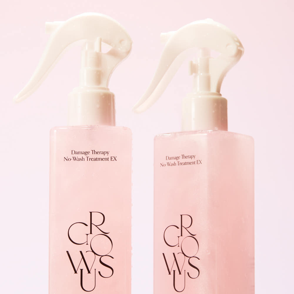 GROWUS Damage Therapy No-Wash Treatment EX Dew Rose 250ml * 2ea