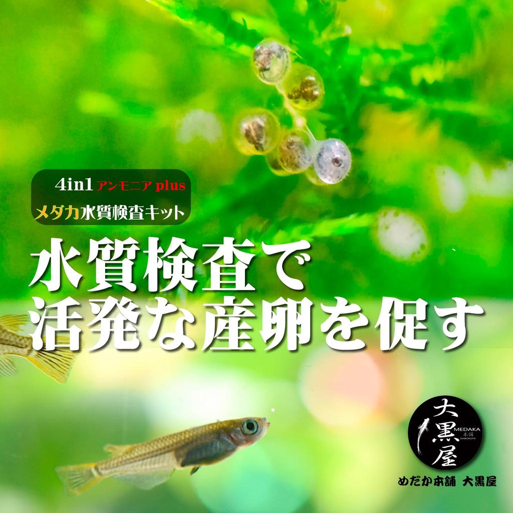 Honpo Medaka Water Quality Test Kit Ammonia Plus Water Quality Test Papers for Medaka Medaka Ammonia Medaka Medaka Water Quality Ammonia Water Medaka