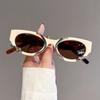 KAMMPT New In Cat Eye Women Sunglasses Fashion Snake Wrapped Round Vintage Shades Eyewear Luxury Brand Design UV400 Sun Glasses