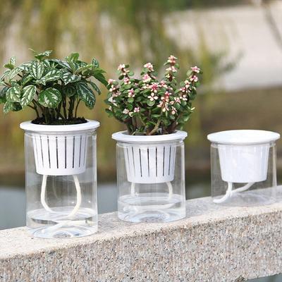 Transparent Self-Watering Plant Flower Pot PP Resin Planter Home Garden Decor