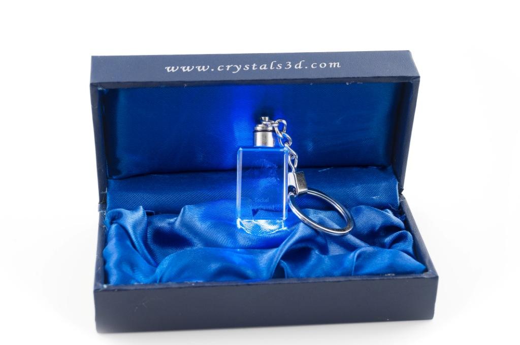 Dachshund Wire-haired, Wiener dog, Badger dog I - Crystal key ring with dog photo, illuminated key ring, unique gift by Art-Dog brand