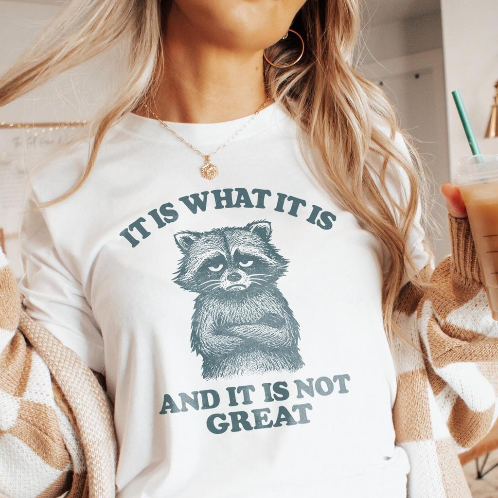 It Is What It Is And It Is Not Great Shirt, Mental Health Shirt, Funny Shirt Women, Meme Shirt, Raccoon Shirt, Gag Tee, Unisex