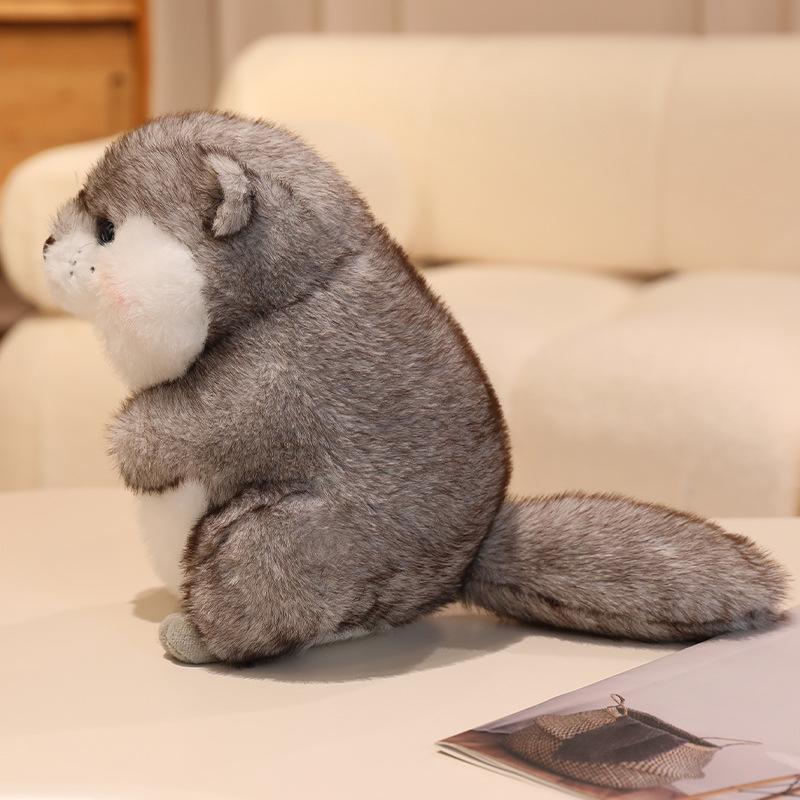 Jucărie de pluș drăguță cu apă, leneșă, animal, pernă decorativă, păpușă, păpușă liniștitoare, cadou pentru fetiță