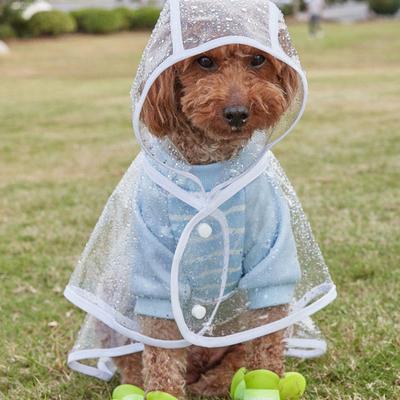 Pet Raincoat Transparent Snap Button Design Hooded Minimalistic Adjustable Windproof Soft Dog Rainwear Pet Rain Gear Rain Supply