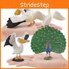 Peafowl Pelican Wildlife Animal Pvc Models For Kids Educational Decor Toys And