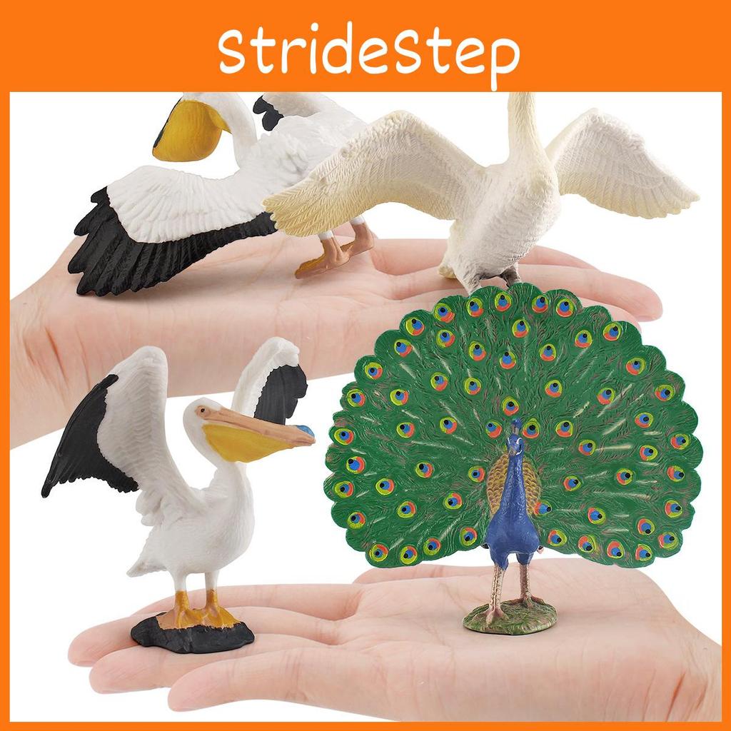 Peafowl Pelican Wildlife Animal Pvc Models For Kids Educational Decor Toys And