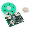 Recordable Voice Module 4 Minites Repeat Recording Function Greeting Card Music Sound Talk Chip for Handcraft