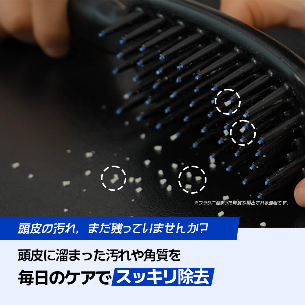 FORBEAUT DANDRUFF BRUSH