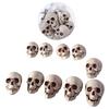 10 Pcs Halloween Decors Realistic Looking Skulls Gothic Style Human Skeleton Head Decorations For Haunted House Party Holiday