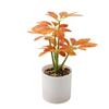Seven-Star Leaf Potted Plant - Fresh Green Decor for Living Room or Desk