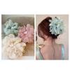 Super Fairy Chiffon Pearl Flowers Crab Hairpin for Hair Trendy Hair Claw Popular Ponytail Shark Clip Woman Barrettes Hairgrips