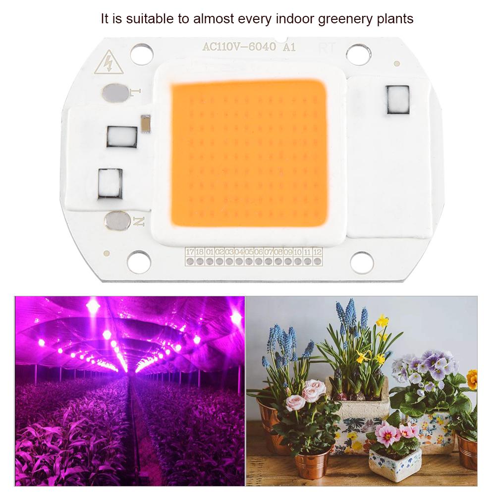 LED Chip Vollspektrum Pflanzenwachstumslicht COB Perlenlampe für Grünpflanzen Blume (110V, 20W)