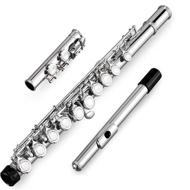 16-Key Closed Hole Silver & Nickel Plated C Flute with E Key, Multi-Color Options