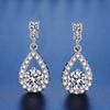 S925 Sterling Silver Moissanite Earrings for Women - High-End Design with 50 Points Moissanite.