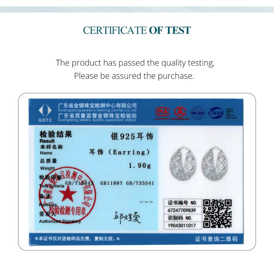 WOSTU 925 Sterling Silver Vintage Lace Hoop Earrings For Women Statement Jewelry Huge Hollow CZ Ear Buckles Wedding Party Gift