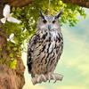 Deko-Artikel – Windspiele