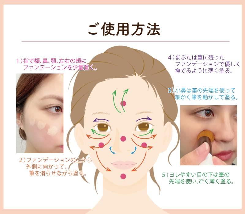 Smooth Fit Foundation Brush by Rokkakukan Liquid Foundation Brush for Base Makeup NF-1 Sakurado,