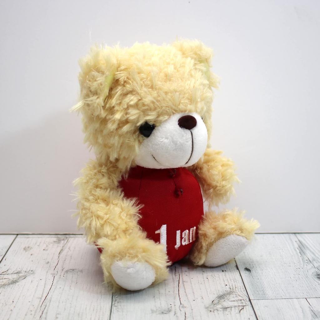 Takeoff Plush Toy BEAR'S365 January Beige