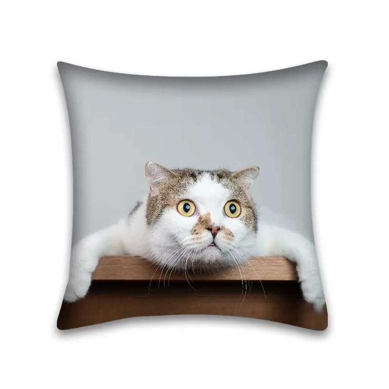 Double Sided Cartoon Cat Pillow Case Anime Animal Small Gift for Friends and Pop Culture Lovers Present