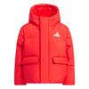 Kids Down Jackets Hooded Moderate KG5508