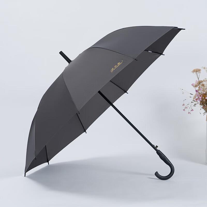 Tiantang 193E Oversized Automatic Long Handle Umbrella