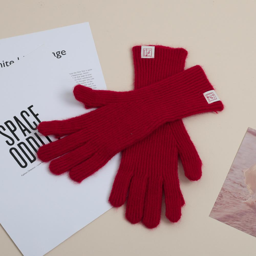 Korean Version of Autumn and Winter Long Finger Touch Touch Screen for Students Outdoor Riding Cold-proof Gloves