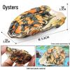 Ocean Wildlife Simulation Toy Set: Sea Turtle, Shark, Whale, Sea Lion, Tiger Shark, Manta Ray, Seal, Grouper.