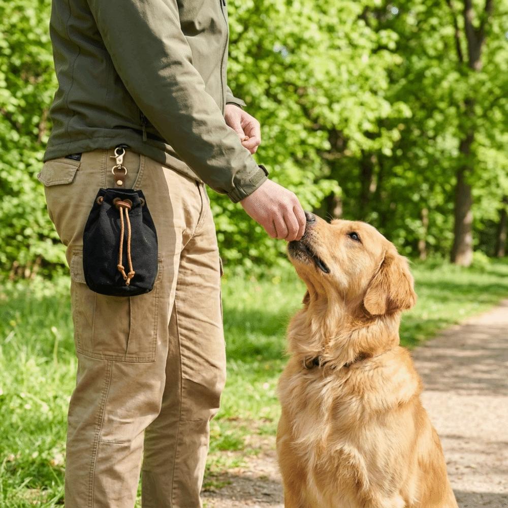 Buckle Design Pet Training Snack Pack Drawstring Dry Food Storage Bag Outdoor Activities