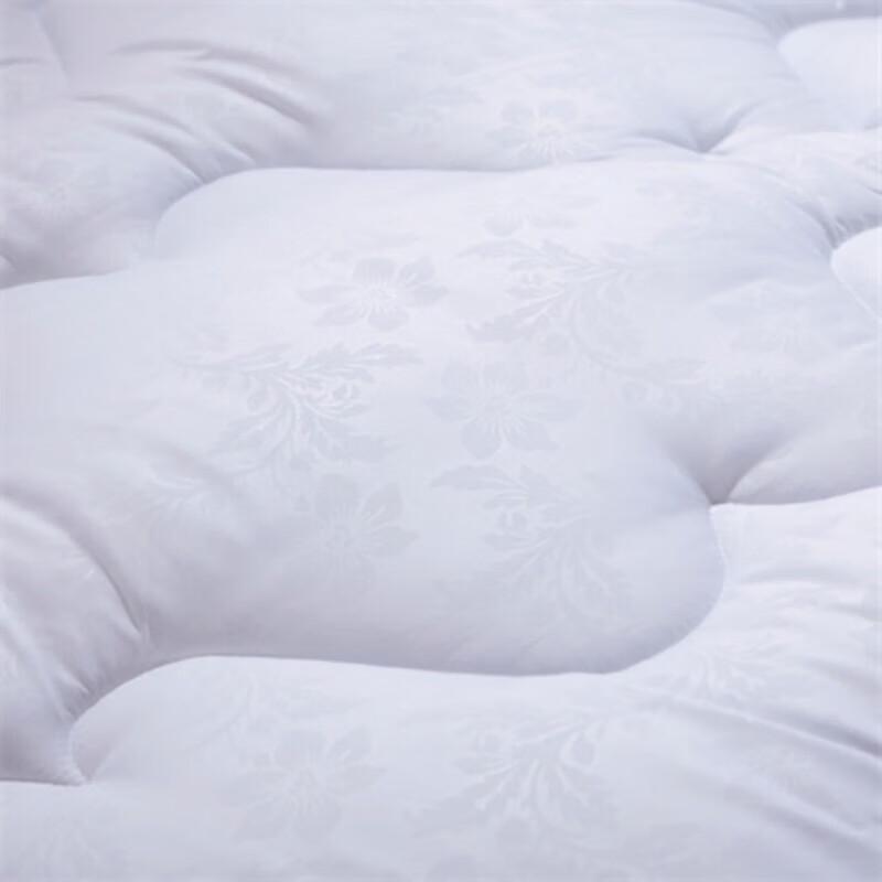 FUANNA Four Seasons Cotton & Polyester Quilt