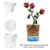 Self Watering Plant Pots Indoor Plants Planter with Reservoir Clear Plastic Round Flower Pot with Wick Ropes for Succulents Herbs Flowers Office Home