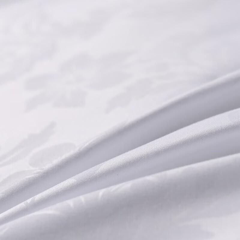 FUANNA Soft Warm Core Quilt