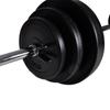VidaXL 2x Haltère 30,5 kg Fitness Exercice Musculation Poids Entraînement 90377