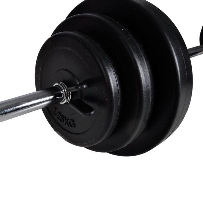 VidaXL 2x Haltère 30,5 kg Fitness Exercice Musculation Poids Entraînement 90377