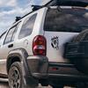 Lion Car Decal Sticker, Lion Decal for Car | Car