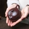 Tradition Yixing Purple Clay Teapot Handmade Orchid Xishi Tea Pot Beauty Tea Infuser Kettle Chinese Zisha Tea Set Teaware 170ml