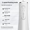 Handheld Portable Dental Flusher Household Large Water Tank Oral Flusher Cleaning Electric Water Dental Floss Dental Wash